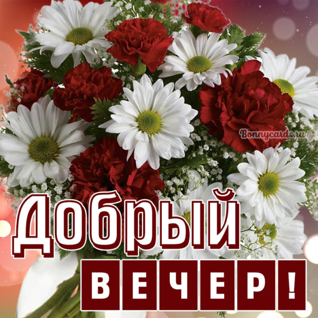 Картинки Добрый вечер -ТОП 300 (яркие и необычные)