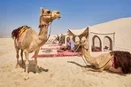 Эксклюзивный опыт ПАКС.  Блок мест на Qatar Airways в Катар