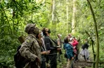 Эксклюзивный вебинар от Ratel Safaris для российских туроператоров