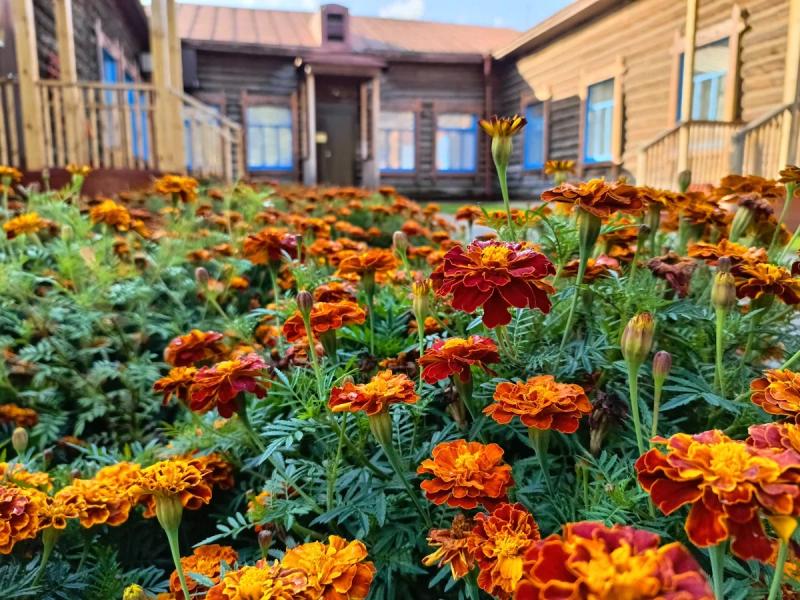 На поезде по городам Сибири: новый железнодорожный круиз глазами участников