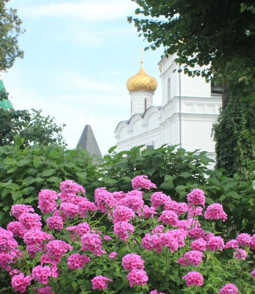 Что посмотреть в Костроме за пару дней: ТОП-10 достопримечательностей, которые нужно увидеть в первую очередь