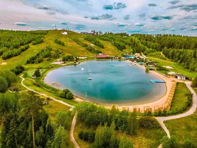 Самые грибные места рядом с Москвой и Петербургом. Подборка лесных отелей для грибников