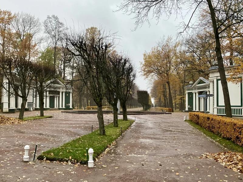 В Петергоф без очереди: плюсы и минусы поездки в пригороды Петербурга осенью