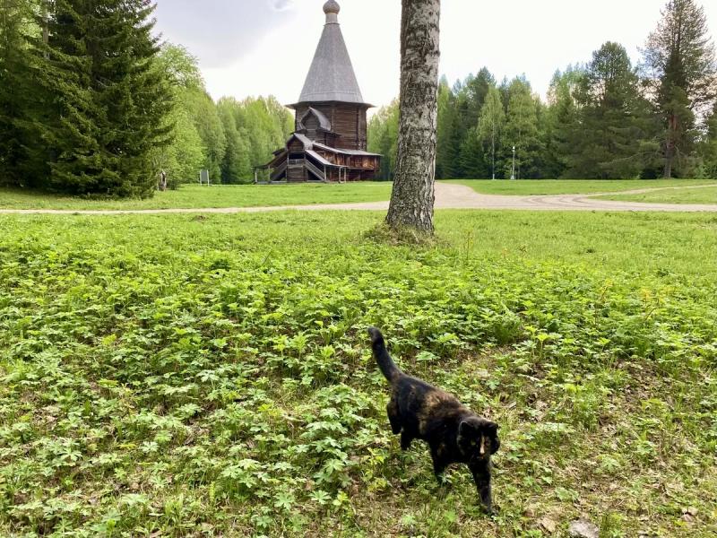 Восемь «самых-самых» музеев деревянного зодчества, которые помогут понять Россию